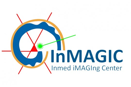 logo INMAGIC